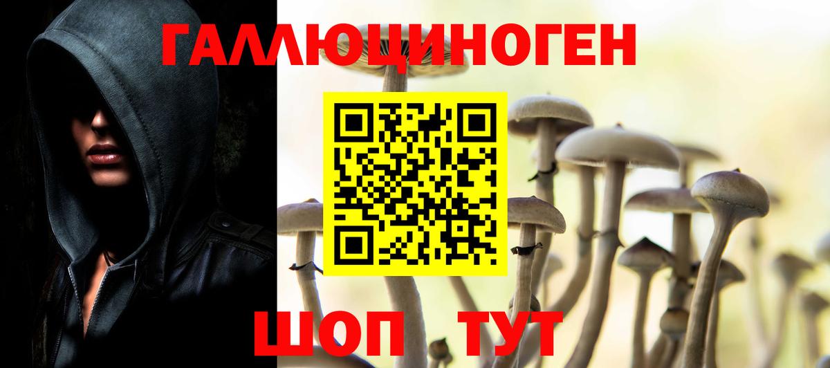 Нефтеюганск  Псилоцибиновые грибы GOLDEN TEACHER  Вход с VPN  Псилоцибиновые грибы Psilocybine cubensis 
